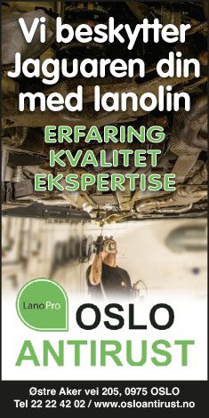 Oslo Antirust